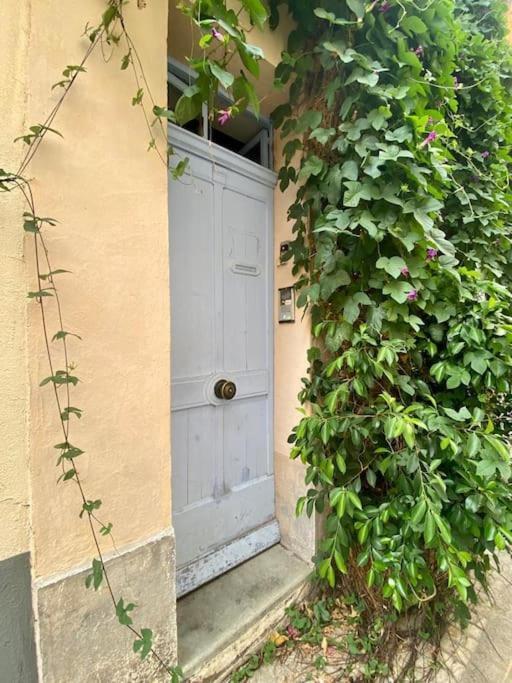 Click! Casa Lamartine Fabulous Ideal Location Walk To All!!! Каси Экстерьер фото